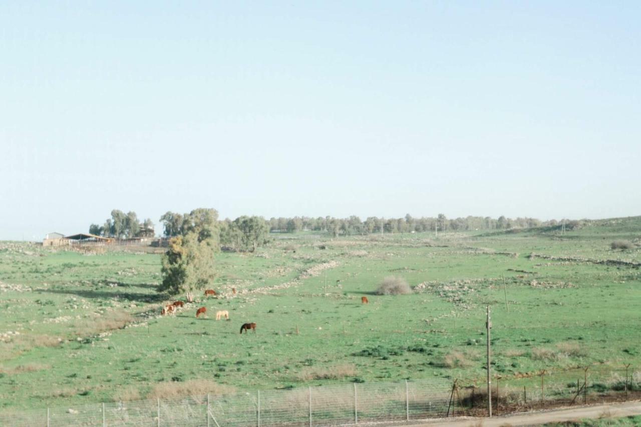 קדמת צבי Villa Eksteriør billede